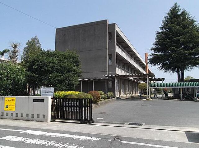 周辺 サーパス千波緑岡8F 8階/-