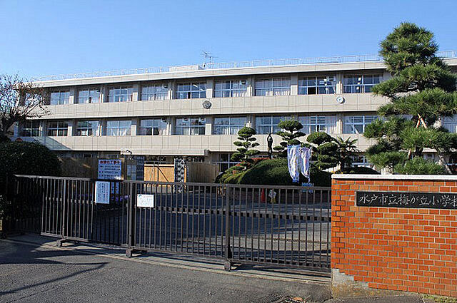 周辺 サーパス赤塚　3F 3階/-