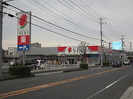 ドラッグストアセキ南流山店まで261m、近年OPEN!大きめのドラッグストア。