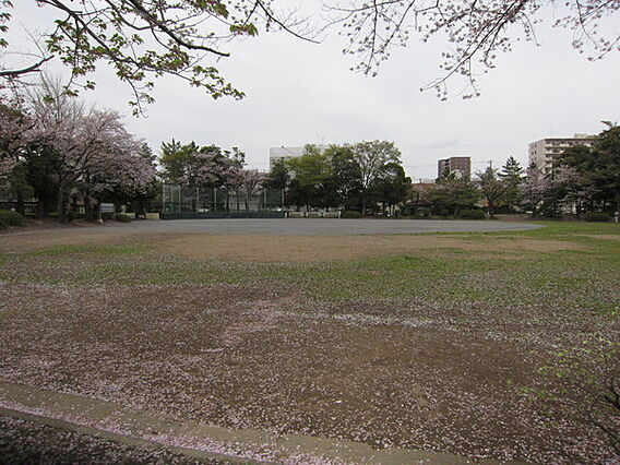 南流山中央公園...