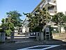 周辺：川崎市立白幡台小学校まで694m