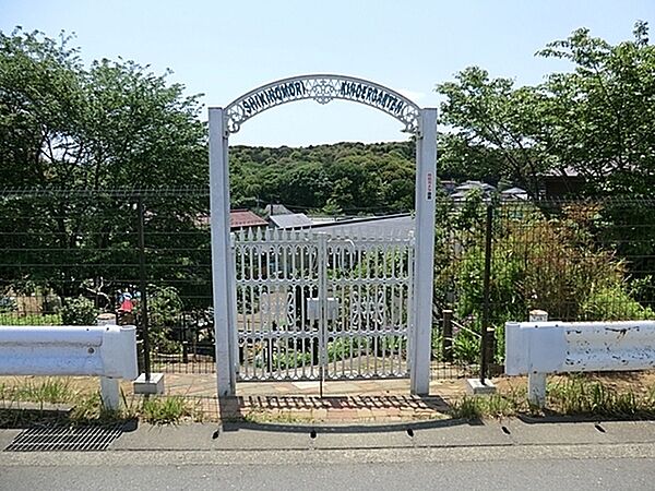 周辺を拡大表示