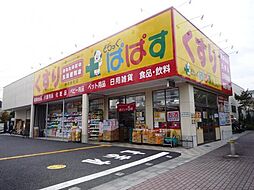 [周辺] どらっぐぱぱす赤塚新町店まで609m、どらっぐぱぱす赤塚新町店