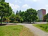 周辺：白山公園まで439m