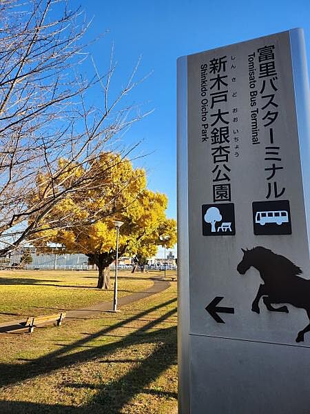 周辺を拡大表示