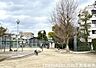 周辺：荒木苗公園まで530m