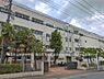 周辺：横浜市立新田中学校まで2000m、横浜市立新田中学校