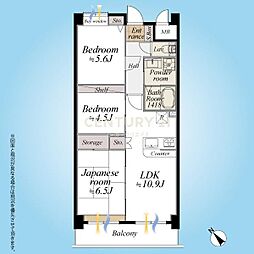セザールリバーサイド上野毛 3LDKの間取り