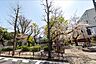 周辺：世田谷区立山下公園まで450m
