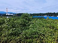 群馬県高崎市下里見町275-2：物件画像