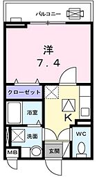 ティープラント朝日
