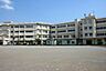 周辺：川崎市立生田小学校まで905m