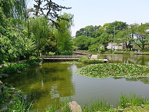周辺を拡大表示