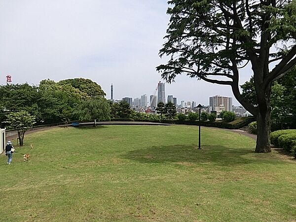 周辺を拡大表示