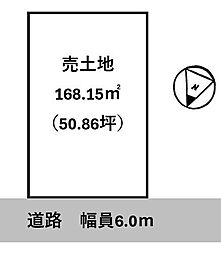 条件無