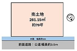 条件無