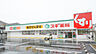 周辺：スギ薬局取石店まで623m