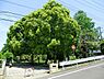 周辺：貝塚公園まで344m、広場が3箇所に分かれている広い公園。ユニークな遊具は小さい子におすすめ。その他滑り台、ブランコ、砂場、鉄棒もあります。