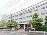 周辺：横浜市立新田中学校まで228m