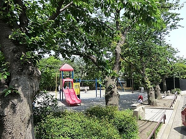 周辺を拡大表示