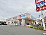 周辺：ウエルシア松戸樋野口店まで570m