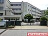 周辺：松戸市立八ケ崎小学校まで705m、松戸市立八ケ崎小学校
