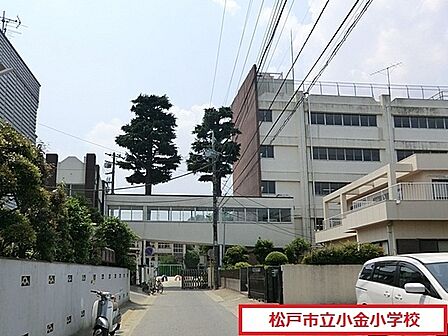 松戸市立小金小学校まで850m、徒歩約11分お子様の通学も安心ですね