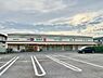 周辺：ドラッグストアセイムス柏花野井店まで749m
