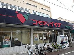 [周辺] 【スーパー】コモディイイダ 幸町店まで671ｍ