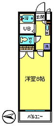 ラクダ