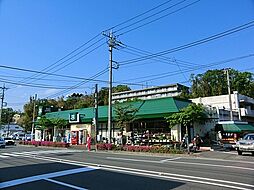 [周辺] FUJI上中里店まで1000m、笹下釜利谷道路の上中里交差点の近くにあるスーパー。駐車場有で夜22時まで営業しています。