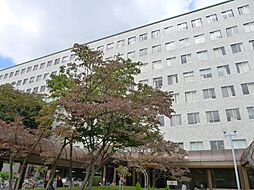 [周辺] 【総合病院】日本大学医学部附属板橋病院まで1124ｍ