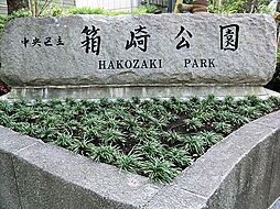 [周辺] 箱崎公園 徒歩2分。 160m