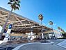 周辺：新江ノ島水族館まで1236m