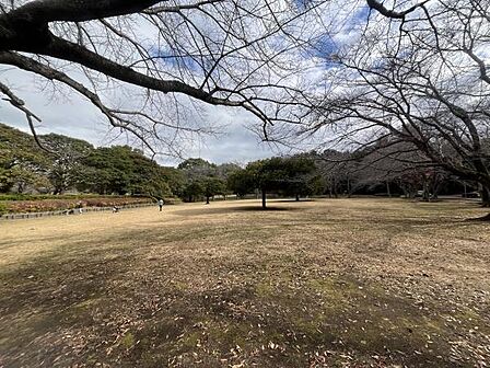 大庭城址公園まで913m