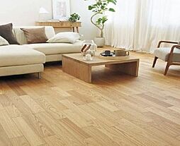 ＩＮＴＥＧＲＡＬ　ＮＩＳＨＩＫＩＭＡＣＨＩ 1階1LDKのリビング/ダイニング