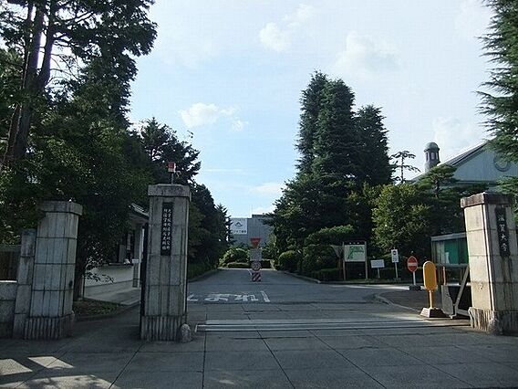 ネバーランド彦根_周辺_4