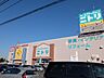 周辺：ニトリ大宮バイパス店まで約1100m
