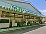 周辺：ドラッグセイムス原山店まで約400m