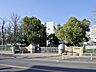 周辺：辻小学校まで約700m