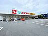 周辺：スギ薬局大宮植竹店まで約900m