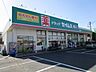 周辺：ドラッグセイムス岩槻店まで約750m
