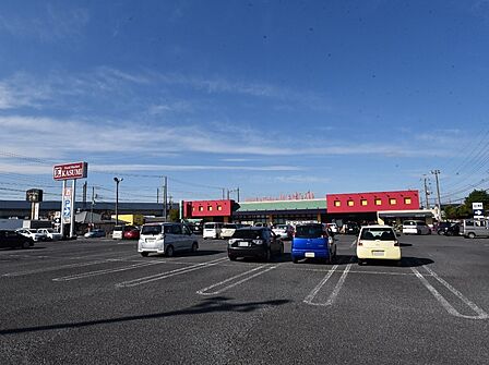 フードスクエアカスミ白岡店まで約1700m