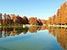 周辺：別所沼公園まで約190m