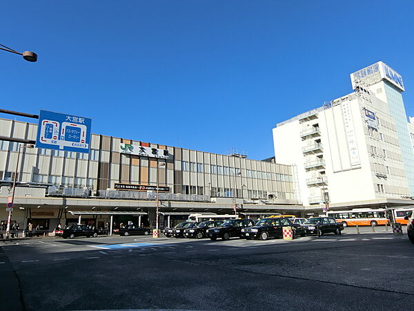 周辺を拡大表示