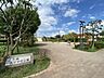 周辺：上木崎大けやき公園まで約240m