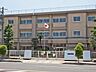 周辺：大宮南小学校まで約1000ｍ
