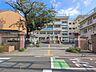 周辺：さいたま市立木崎小学校 900m