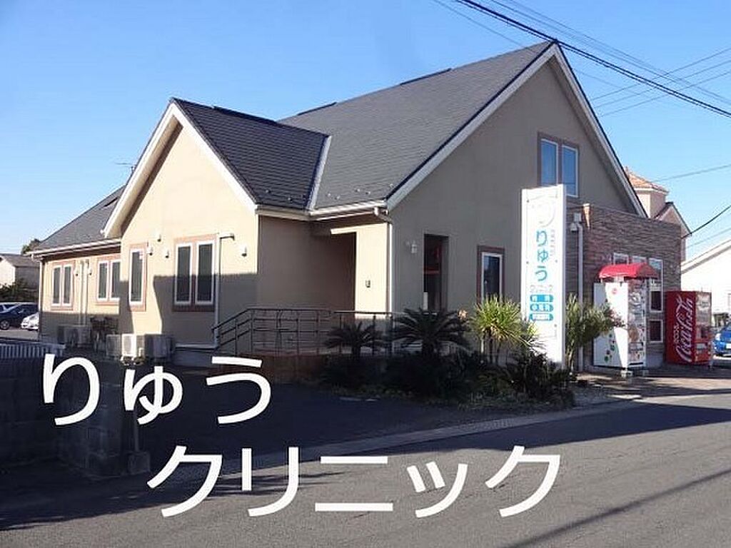 Image 31