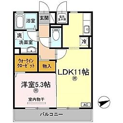 フェリース　サラ